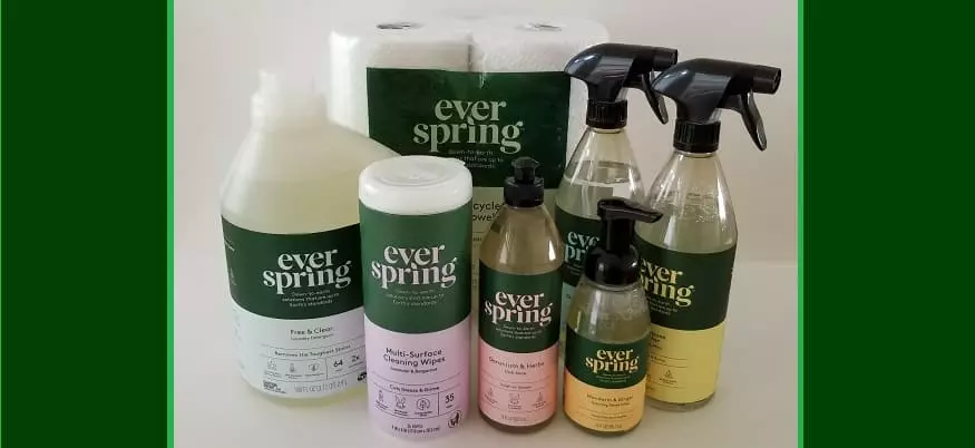 Target Everspring household products review